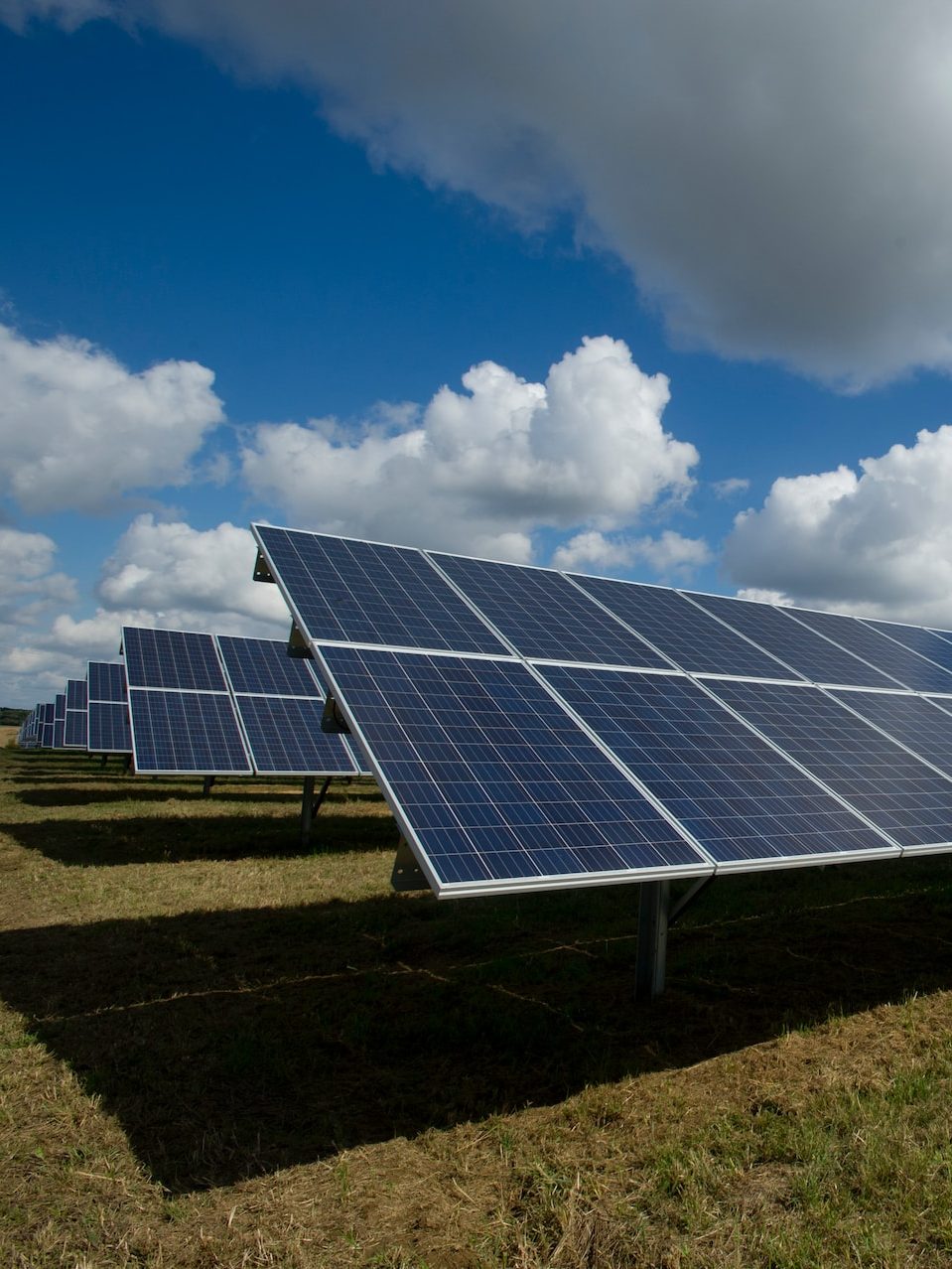 solar panels on green field